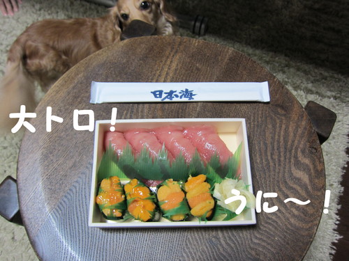カベルネ・ソーヴィニヨン Perrito_b0200291_20421234.jpg
