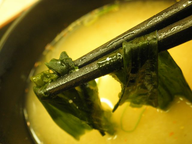 吉野屋の牛丼 関目店_c0118393_9492760.jpg