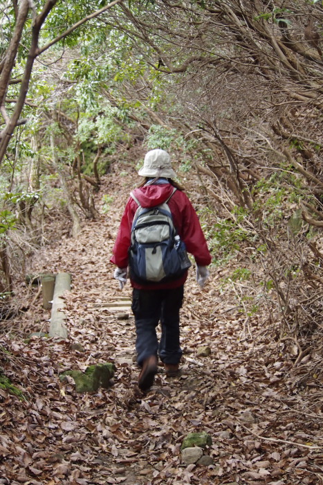 久住連山（稲星山・白口岳）の頂きへ（2011.11.12）　Part-5（最終回）_d0147393_96745.jpg