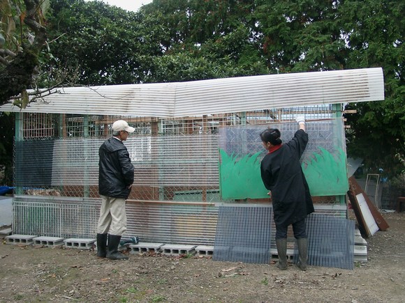 多頭飼育崩壊現場から　～２～_e0212095_0364687.jpg