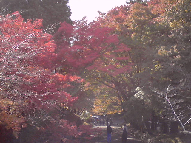 e0187697_15522070.jpg