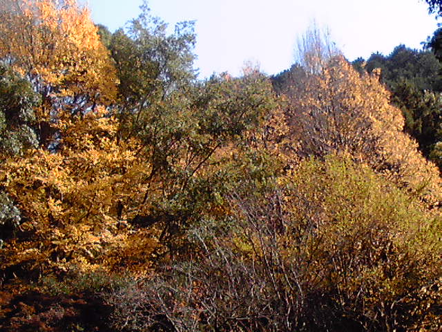 e0187697_15562421.jpg