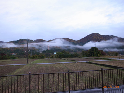 f0191999_1457064.jpg