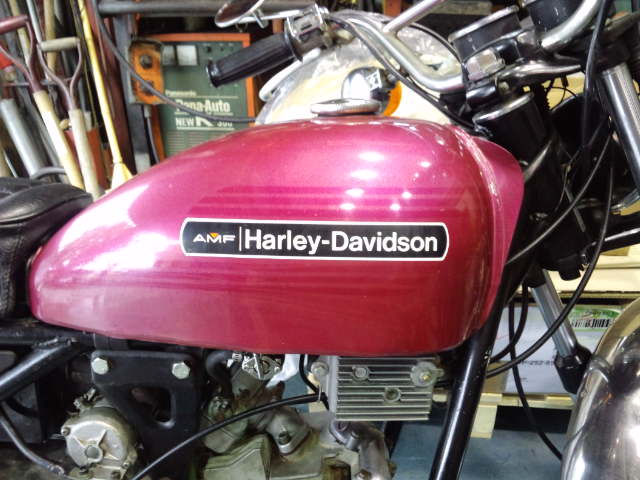 a0158802_232849.jpg