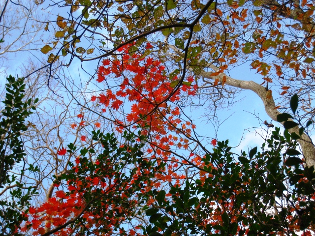 a0097006_1842247.jpg