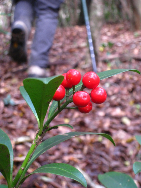 a0097006_1851410.jpg