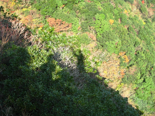 a0097006_1871762.jpg