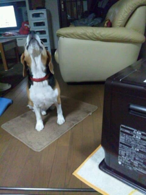 c0205806_20263567.jpg