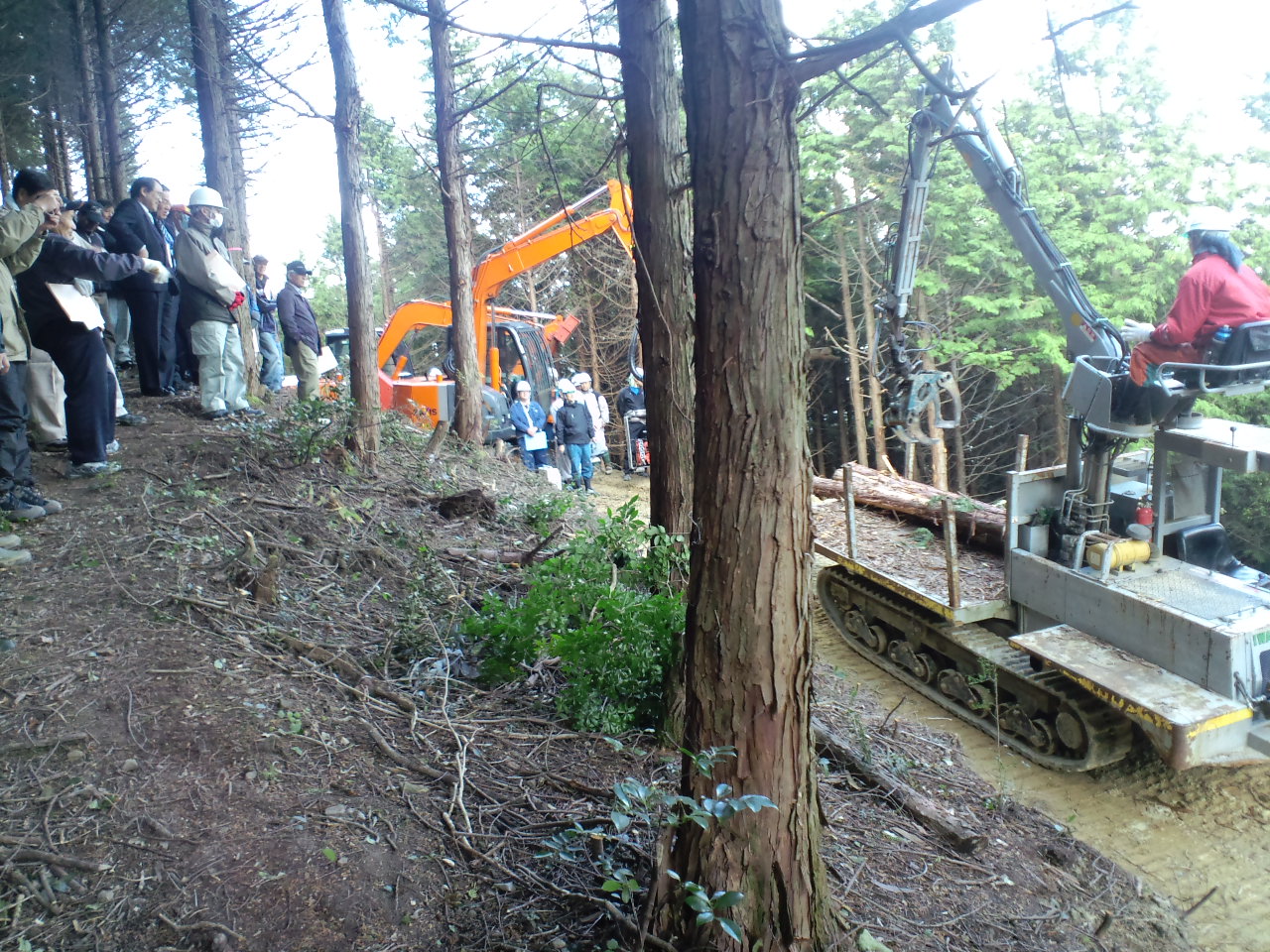 森林の保全_d0136506_16572262.jpg