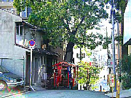 霜月の弧柳 北新地 1章目 北新地まで歩きます。_a0194908_14145329.jpg
