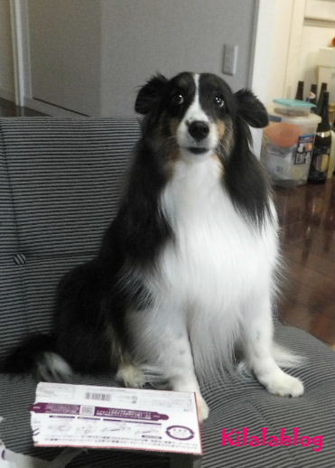 e0130008_20154263.jpg