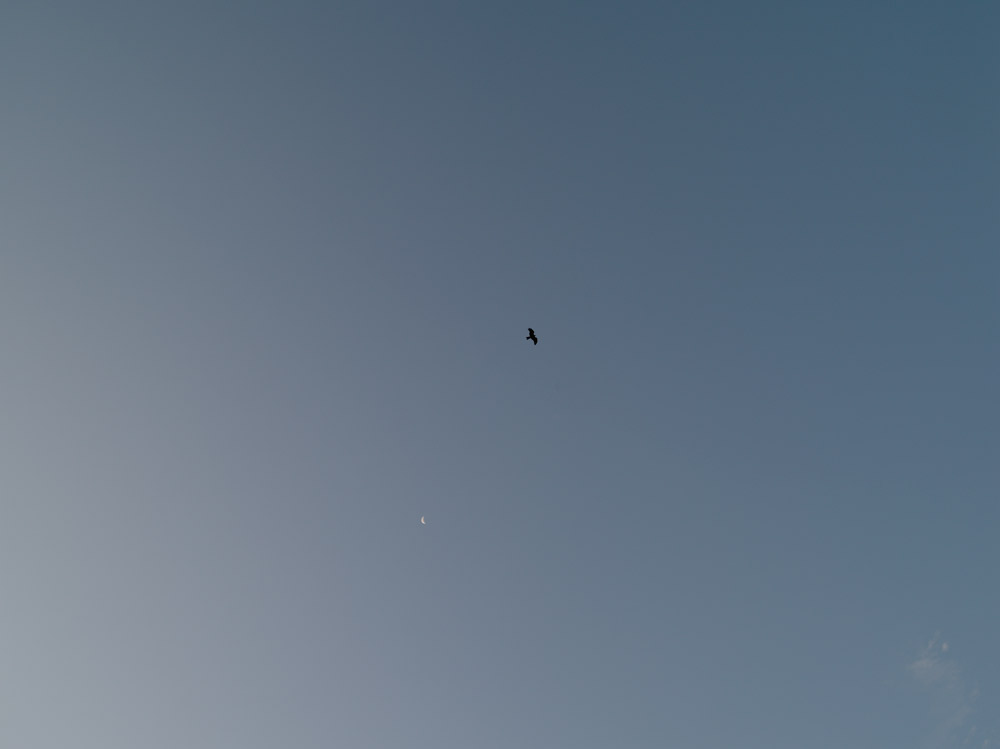 キサカタ_c0065410_2214221.jpg
