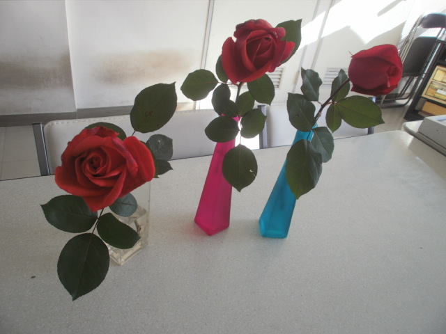 c0116610_1229502.jpg