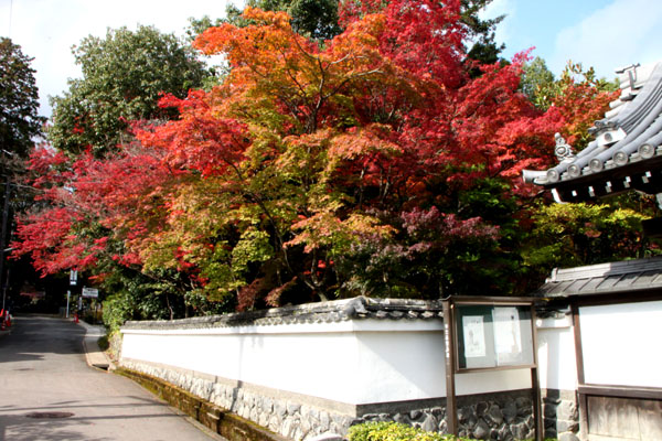 紅葉の西賀茂 西方寺 _e0048413_21591496.jpg