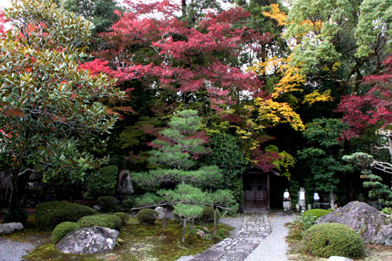 紅葉の西賀茂 西方寺 _e0048413_21593799.jpg