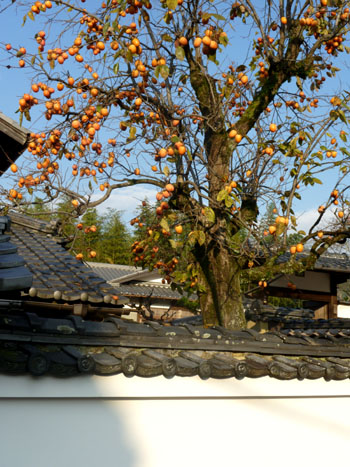 紅葉の西賀茂 西方寺 _e0048413_2201091.jpg