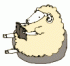 d0240514_10274585.gif