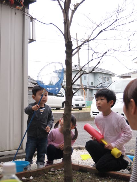 a0151615_0172471.jpg