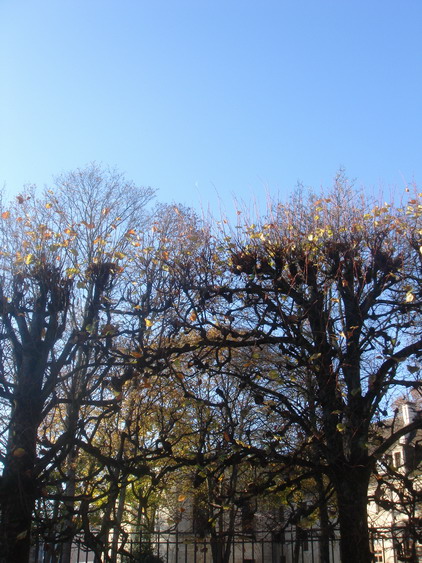 c0124619_78878.jpg
