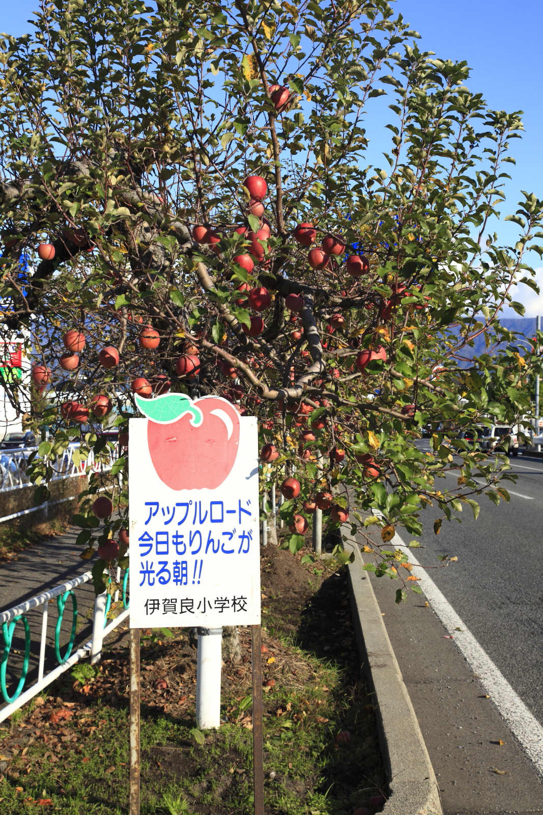 飯田アップルロード_b0164726_22332928.jpg