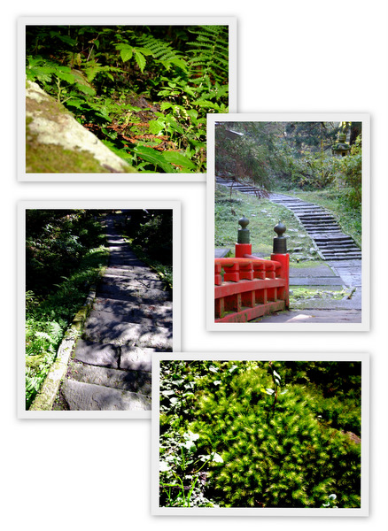 「山形・庄内 羽黒山参拝」_a0000029_23354954.jpg