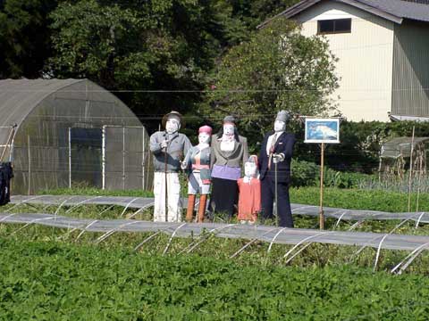 b0143231_13274913.jpg