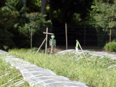b0143231_13283553.jpg