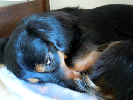 c0117831_22234712.jpg