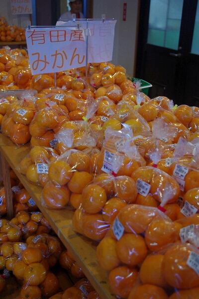 c0113733_1123071.jpg