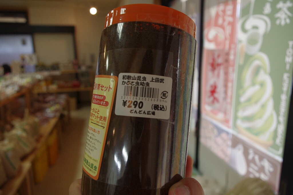 c0113733_1132781.jpg