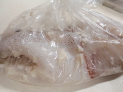 c0097838_16283037.jpg
