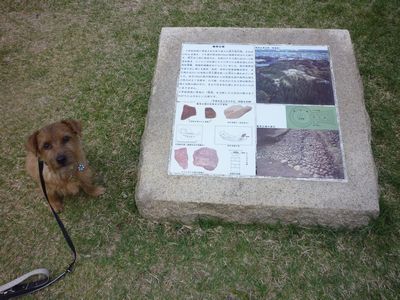 『亀塚古墳公園』へ～_c0211540_11392347.jpg