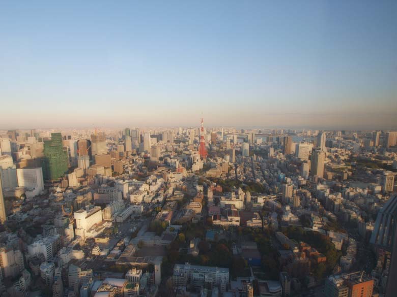 d0149245_127971.jpg