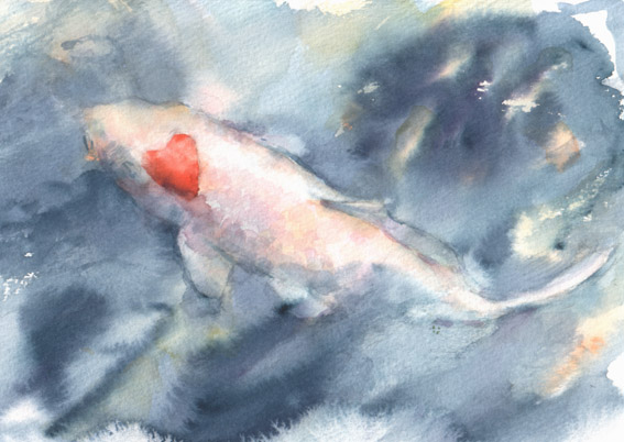 錦鯉 水彩画