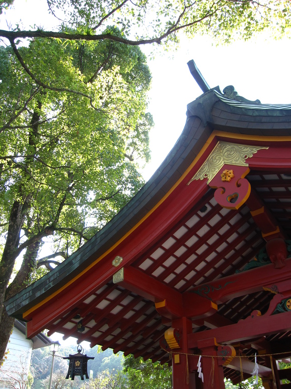 d0220551_8165090.jpg