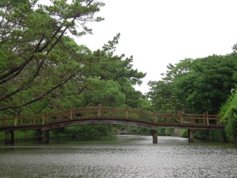 d0049152_3462022.jpg