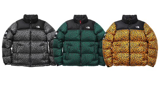 Supreme x The North Face Fall/Winter 2011 Leopard Print Down Jacket & Bag_a0118453_21234585.jpg