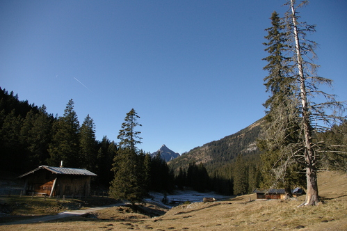b0175255_18372241.jpg