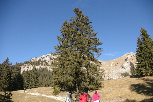 b0175255_18395158.jpg