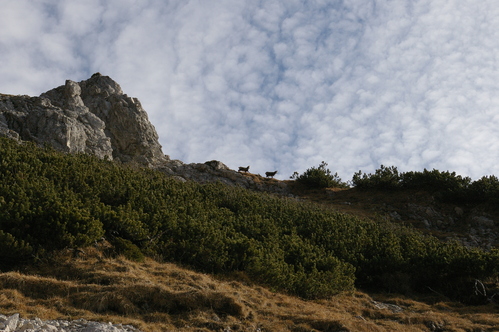 b0175255_18492543.jpg