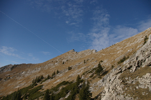 b0175255_1852411.jpg