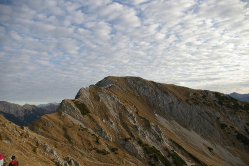b0175255_19262670.jpg