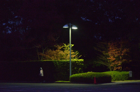 早朝散歩「太陽が丘」_e0164563_11332145.jpg