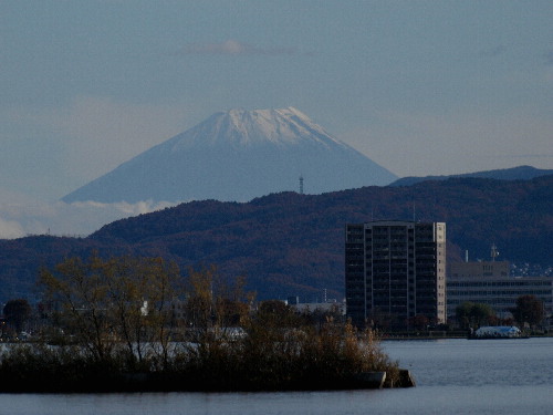 f0208666_1617535.jpg