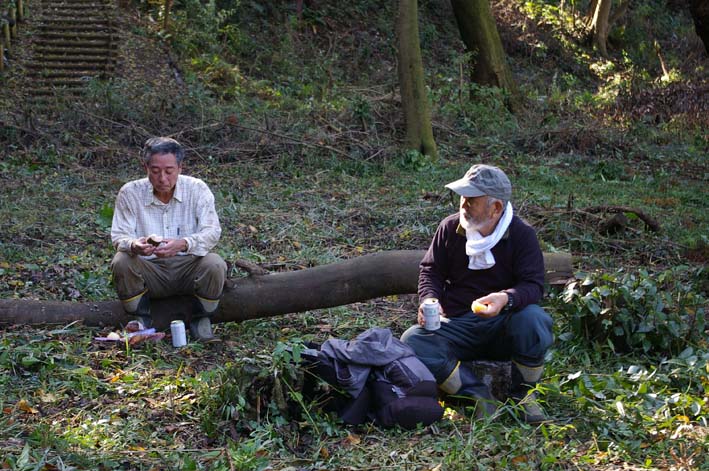 夫婦桜の下の広場に木漏れ日！10回目の手入れ無事終了_c0014967_17312532.jpg