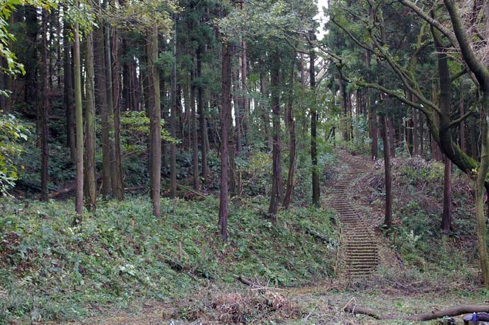 夫婦桜の下の広場に木漏れ日！10回目の手入れ無事終了_c0014967_18124461.jpg