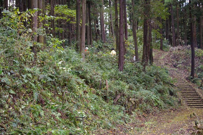 夫婦桜の下の広場に木漏れ日！10回目の手入れ無事終了_c0014967_18131831.jpg