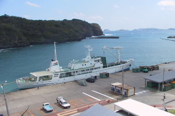 ２００５年　小笠原諸島探鳥記録その３_e0000968_22185173.jpg