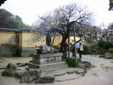 春の雨、そして年度末の列車　２（西鉄天神大牟田線／甘木線／太宰府線）_b0005281_22361287.jpg