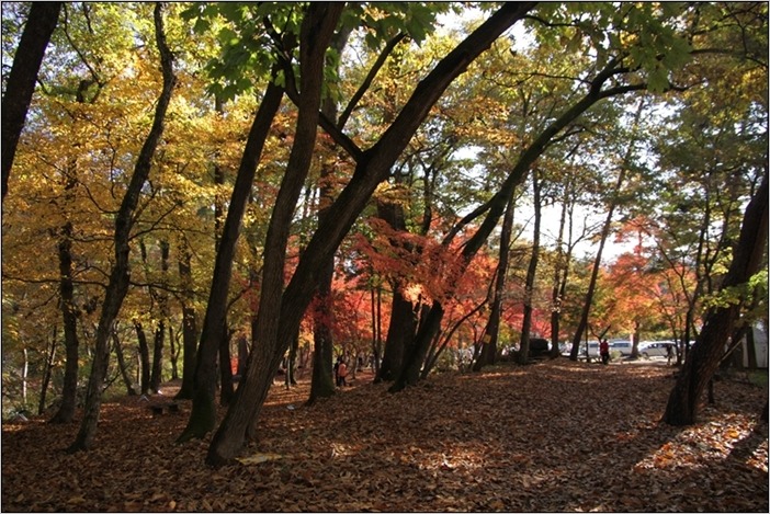 月の石もみじ公園にて　Ⅱ_e0027083_1559082.jpg